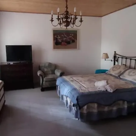 Carmen Alhama de Aragón